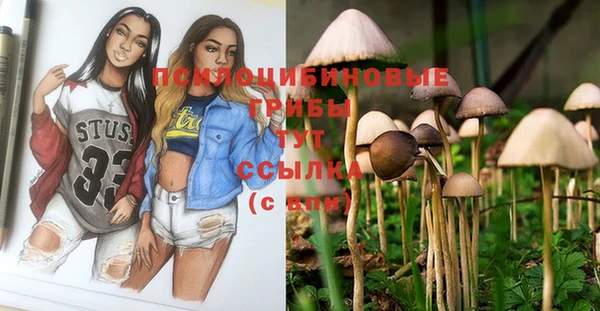 прущие грибы Арсеньев