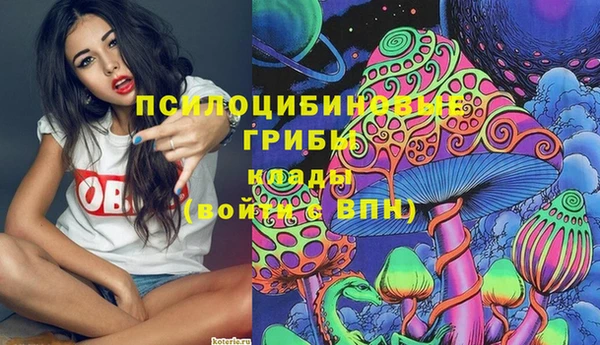 ПСИЛОЦИБИНОВЫЕ ГРИБЫ Армянск