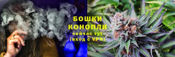 прущие грибы Арсеньев