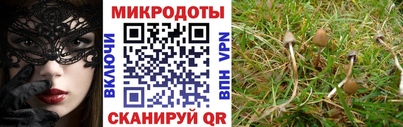 Псилоцибиновые грибы GOLDEN TEACHER  Искитим 
